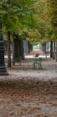 Boş, yalnız metal sandalye Tuileries Bahçesi, Paris, sonbahar, 2018