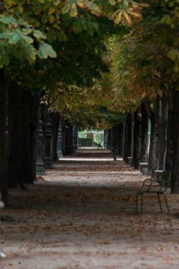 Bir tünel ile park lane ağaçlar ve Tuileries Bahçesi, Paris, sonbahar, 2018 lamba ayağı gibi