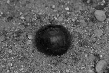 Kestane kumlu toprak