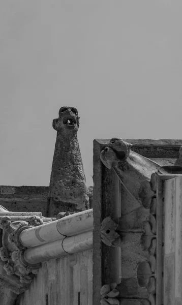 Cathdrale ノートルダム 世紀の大聖堂の建築要素 — ストック写真