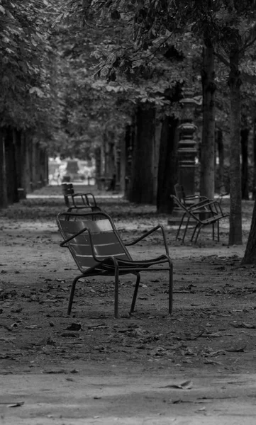 Prázdná Osamělé Kovová Židle Tuilerijských Zahrad Paříž Podzim Roku 2018 — Stock fotografie