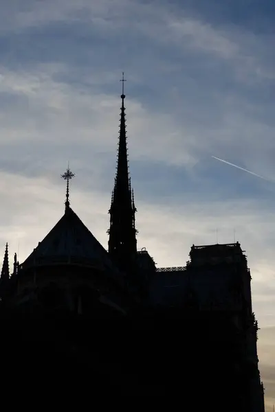 Cathédrale Notre Dame Paris Cathédrale Xiiie Siècle Avec Contreforts Volants — Photo