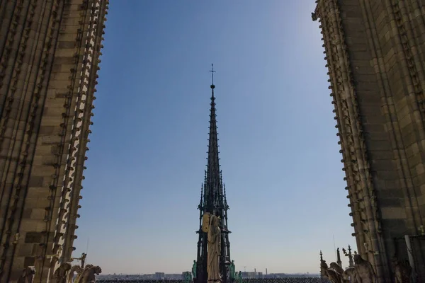 Architektura Prvky Cathdrale Notre Dame Paris Století Katedrála — Stock fotografie