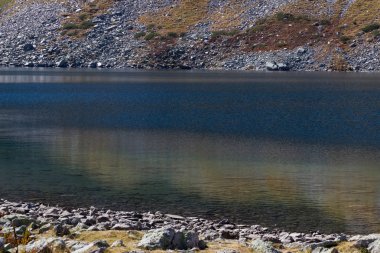 Kristal sularına Gölü Babreka (böbrek), Rila Dağı, Bulgaristan