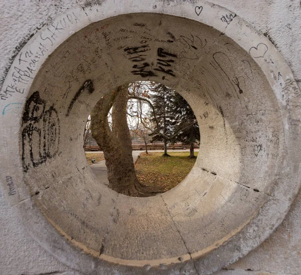 Bir görünüm bir ağacın bir delikten anıt, Island park (Ostrovat), Pazardzhik, Bulgaristan