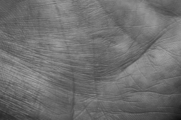 Close Man Skin His Palm — Stock Photo, Image