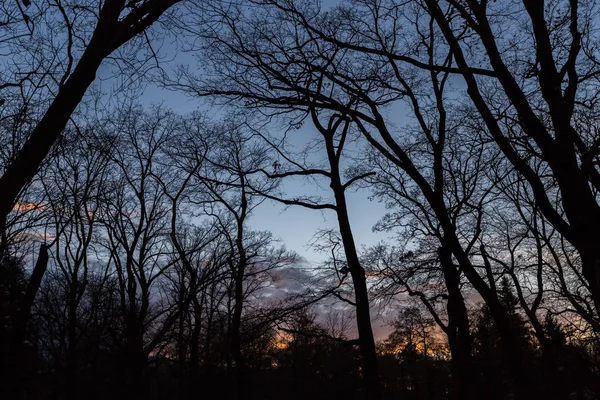 Pôr Sol Parque Borisova Gradina Sofia Bulgária — Fotografia de Stock