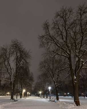 Kış geceleri Sofya: Şehir Parkı (Borisova gradina), Bulgaristan