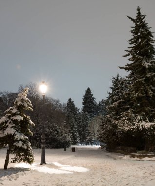 Kış geceleri Sofya: Şehir Parkı (Borisova gradina), Bulgaristan