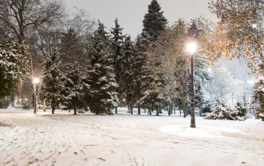 Kış geceleri Sofya: Şehir Parkı (Borisova gradina), Bulgaristan