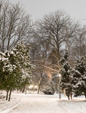 Kış geceleri Sofya: Şehir Parkı (Borisova gradina), Bulgaristan