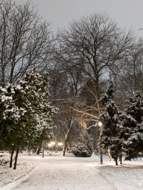 Kış geceleri Sofya: Şehir Parkı (Borisova gradina), Bulgaristan