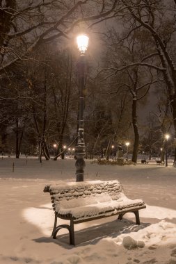 Kış geceleri Sofya: Şehir Parkı (Borisova gradina), Bulgaristan