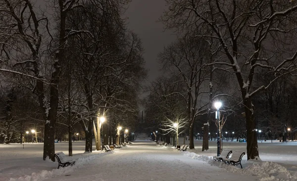 Sofie Zimní Noci Městský Park Borisova Gradina Bulharsko — Stock fotografie