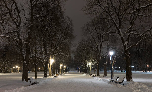 Sofia at winter night: City park (Borisova gradina), Bulgaria