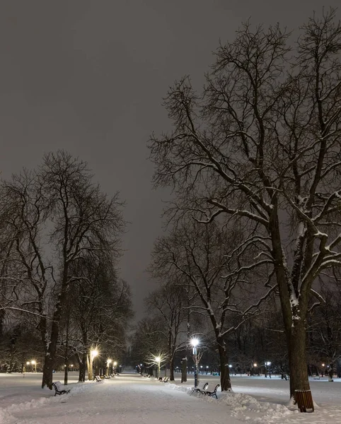 Sofia Nocy Zimowych Park Miejski Borisova Gradina Bułgaria — Zdjęcie stockowe