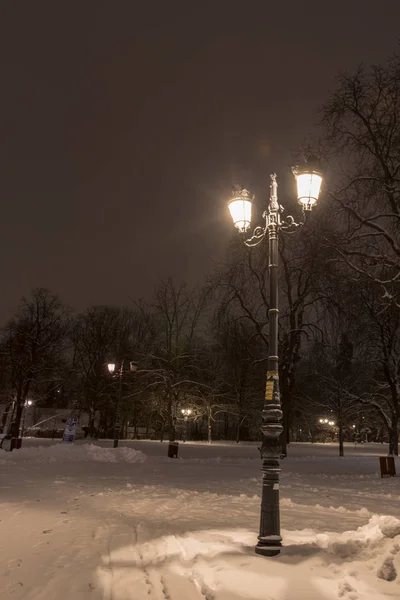 Sofie Zimní Noci Městský Park Borisova Gradina Bulharsko — Stock fotografie