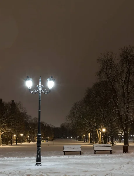 Sofie Zimní Noci Městský Park Borisova Gradina Bulharsko — Stock fotografie