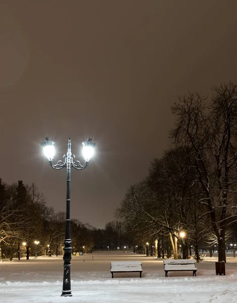 Sofie Zimní Noci Městský Park Borisova Gradina Bulharsko — Stock fotografie