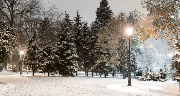 Sofia Nocy Zimowych Park Miejski Borisova Gradina Bułgaria — Zdjęcie stockowe
