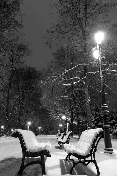冬夜的索菲亚 城市公园 鲍里索娃格拉迪纳 保加利亚 — 图库照片