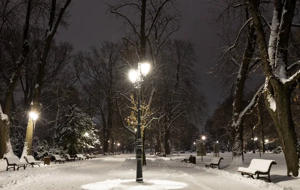 Sofia Nocy Zimowych Park Miejski Borisova Gradina Bułgaria — Zdjęcie stockowe