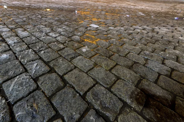 Дерево Танення Снігу — стокове фото