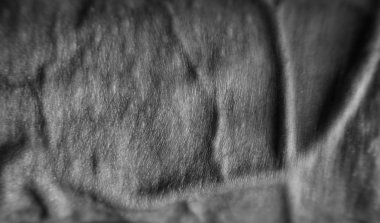 Çok erkeksi bir deri protuberant damarlar ile yakın çekim