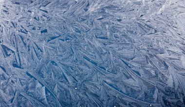 Peri masalı resimleri kış Don tarafından oluşturulmuş 