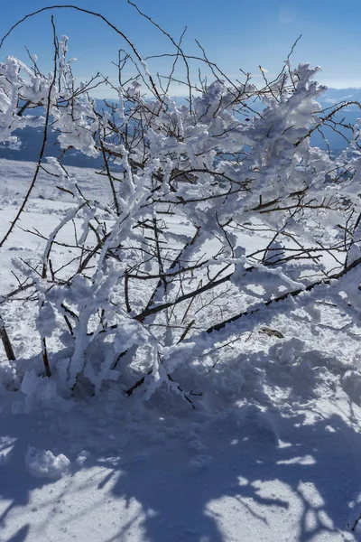 Βράτσα Βουλγαρία 2019 Χειμώνα Παρακολούθηση Στάρα Πλάνινα Βουνό Lakatnik Χωριό — Φωτογραφία Αρχείου