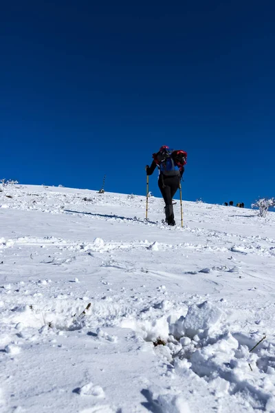 Vratsa Bulgaria 2019 Winter Tracking Stara Planina Mountain Lakatnik Village — 图库照片