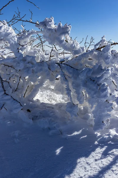 Βράτσα Βουλγαρία 2019 Χειμώνα Παρακολούθηση Στάρα Πλάνινα Βουνό Lakatnik Χωριό — Φωτογραφία Αρχείου