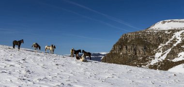Vratsa, Bulgaristan, 02.16.2019: Kış Stara planina Dağı - izleme Lakatnik Köyü, Milanovo Köyü, Parshevitsa tepe, Parshevitsa kulübe, Opletnya Köyü