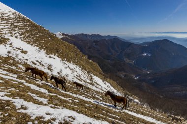 Vratsa, Bulgaristan, 02.16.2019: Kış Stara planina Dağı - izleme Lakatnik Köyü, Milanovo Köyü, Parshevitsa tepe, Parshevitsa kulübe, Opletnya Köyü