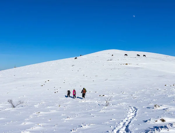 Vratsa Bulgária 2019 Rastreamento Inverno Montanha Stara Planina Aldeia Lakatnik — Fotografia de Stock