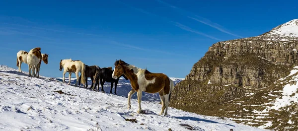 Vratsa, Bulgaria, 02.16.2019: Winter tracking in Stara planina mountain - Lakatnik village, Milanovo village, Parshevitsa peak, Parshevitsa hut, Opletnya village