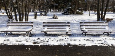 Karlı bir park banklar dizisi