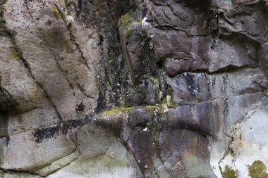Kostenski Falls - bir şelale Rila Mountains, Bulgaristan için eski nehir boyunca yaklaşık üç kilometre köy Kostenets güneyinde bulunan. Su 12 metre bırakır. Rocky Kanyon.