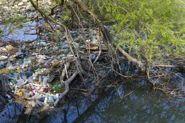 Contaminación Del Medio Ambiente Basura Río Maritsa Bulgaria — Foto de Stock