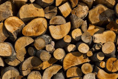 yakacak odun yığını