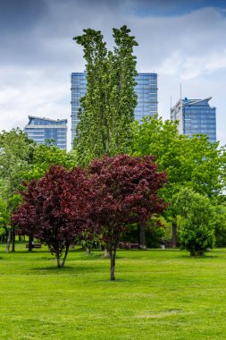 South park (Dog park) manzarası, Sofya, Bulgaristan