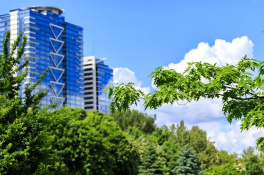 Dog park manzaralar, Sofya, Bulgaristan