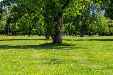 Dog park manzaralar, Sofya, Bulgaristan