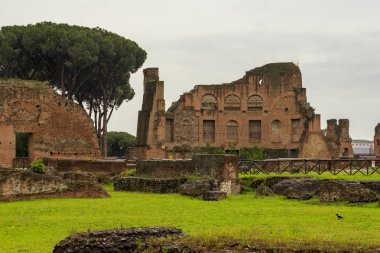 Roma, İtalya, Roma Forumu, Palatine