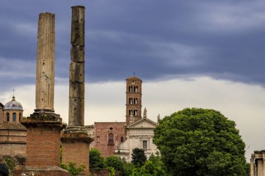 Roma, İtalya, Roma Forumu, Palatine