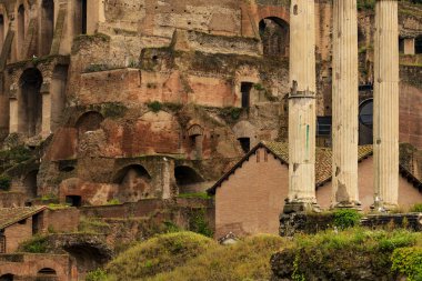 Roma, İtalya, Roma Forumu, Palatine