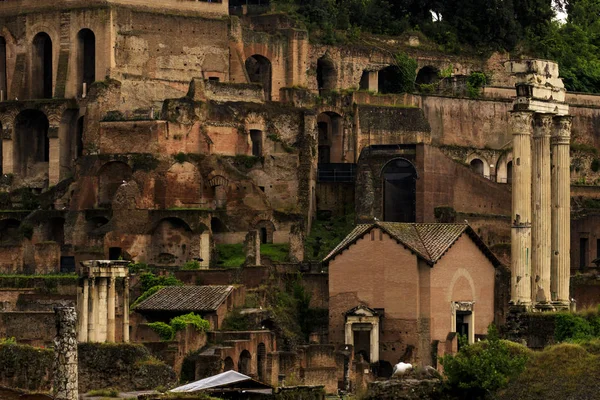 Roma, İtalya, Roma Forumu, Palatine