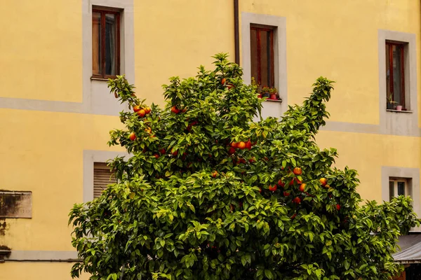 Rome Italy Street Views — Stock Photo, Image