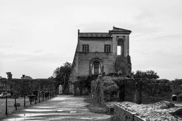 Rome Italië Romeins Forum Palts — Stockfoto