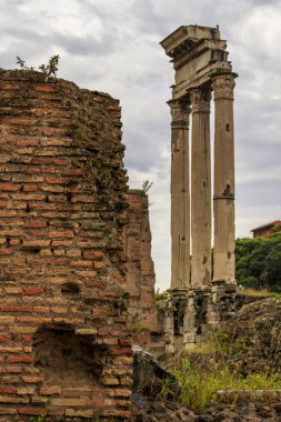 Roma, İtalya, Roma Forumu, Palatine